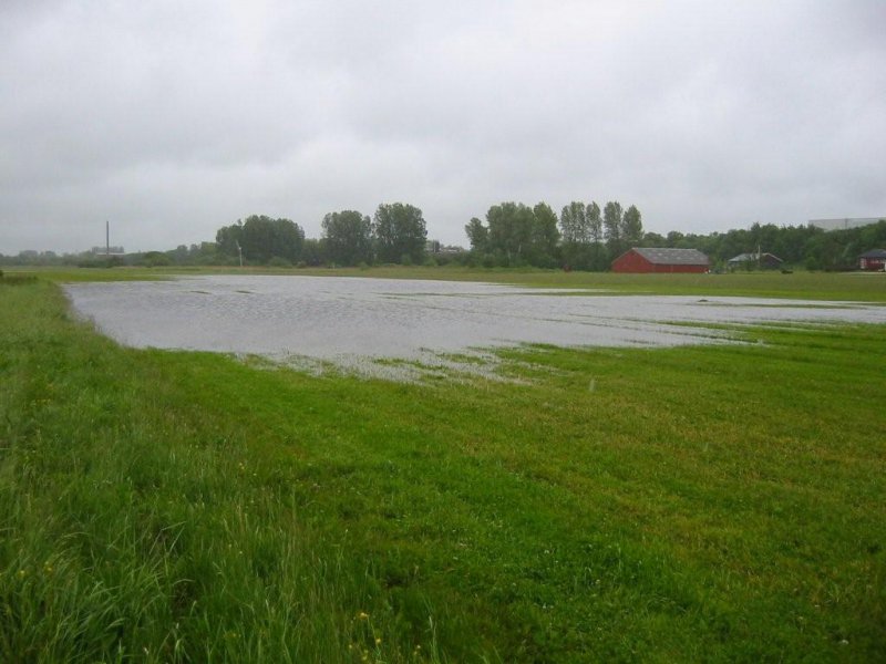 regn_11-12_juni_2009 13